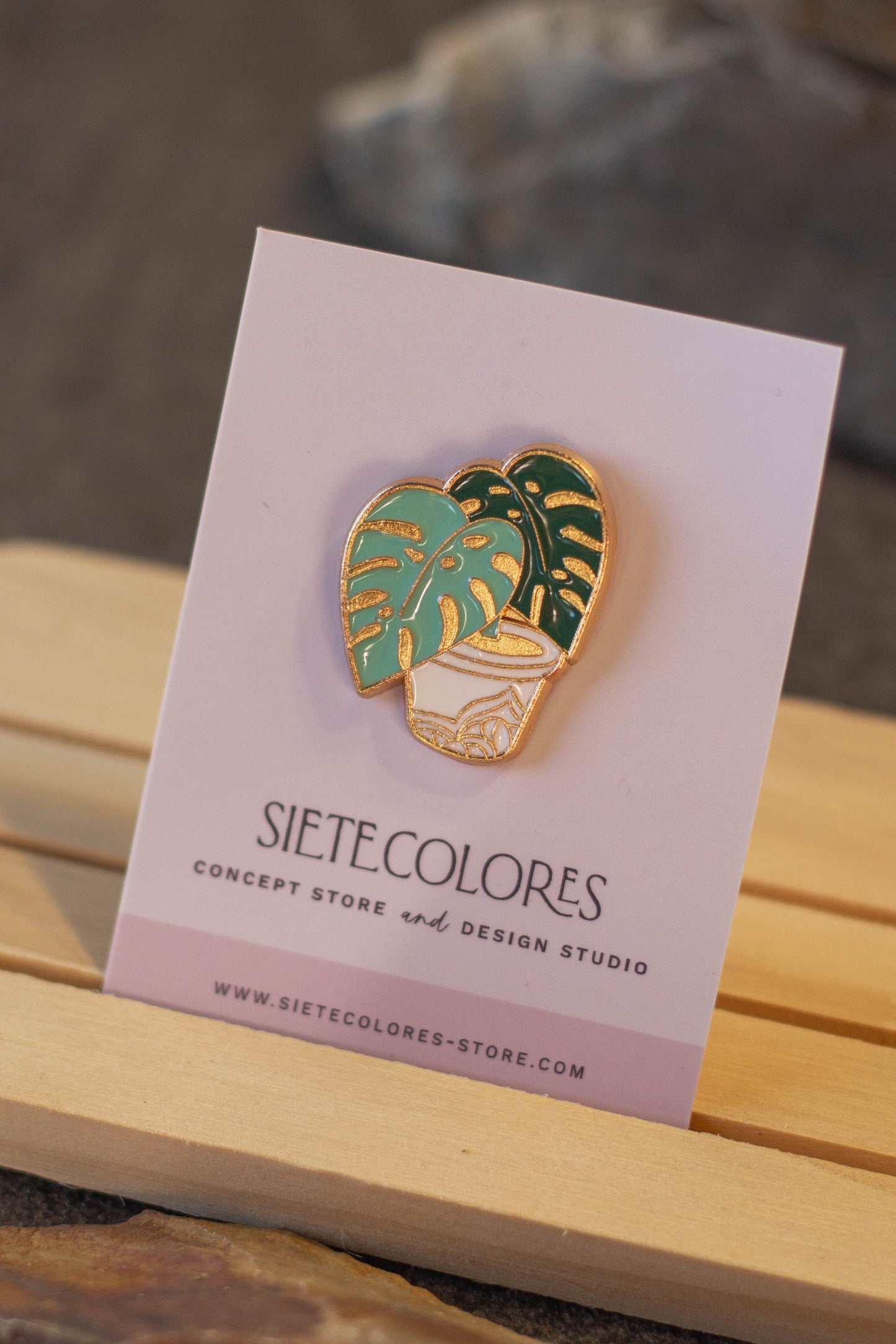 Pins Monsteras