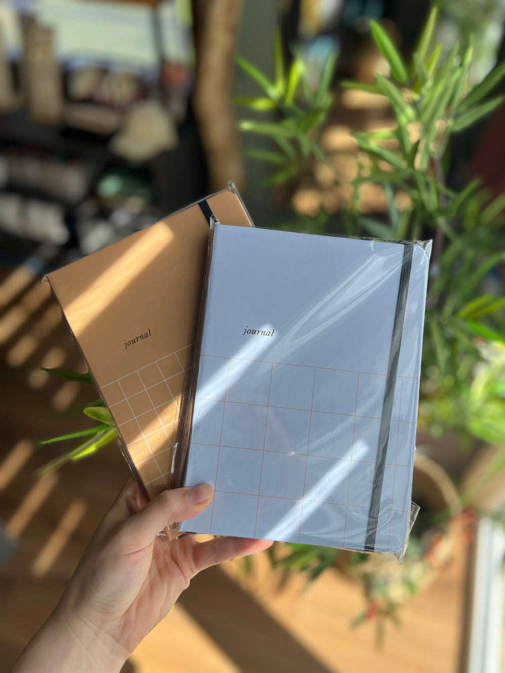Journal