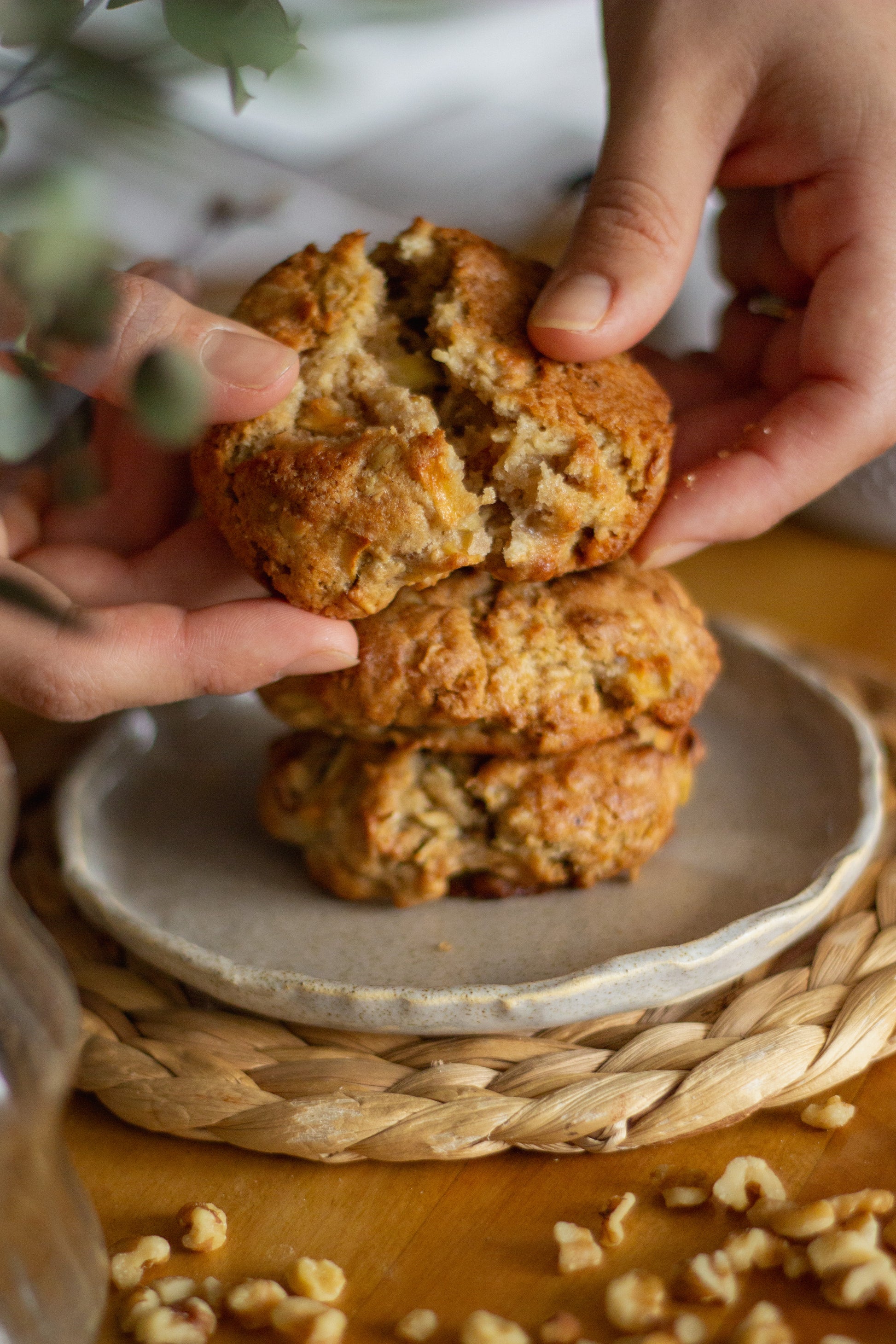 6 Galletas de Invierno