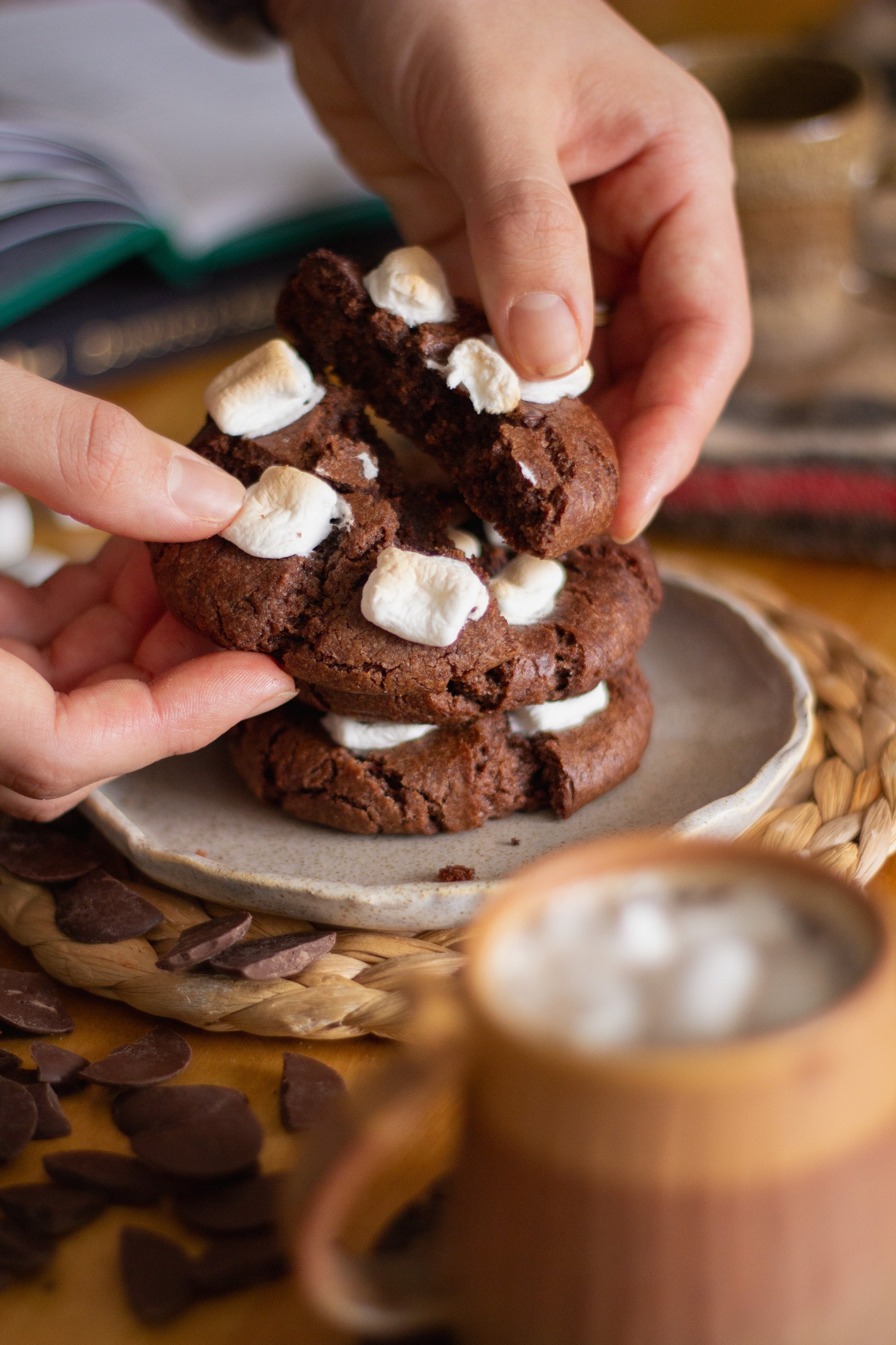 6 Galletas de Invierno