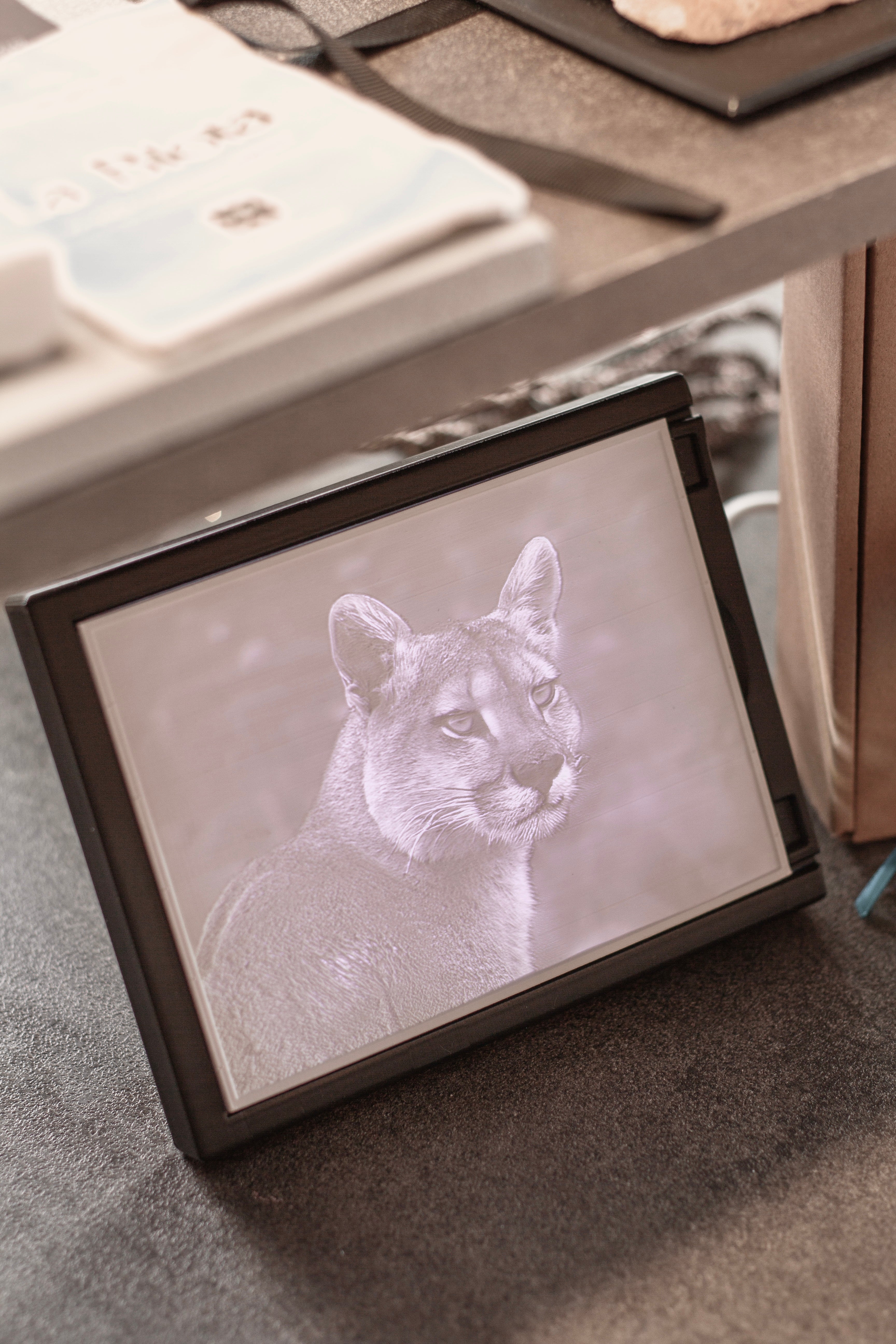 Litofanía de Puma Creatividad Prints x Patagonia Wildlife