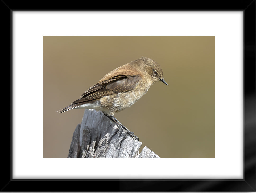 Fotografías de Autor • FineArt 40 x 30 cm