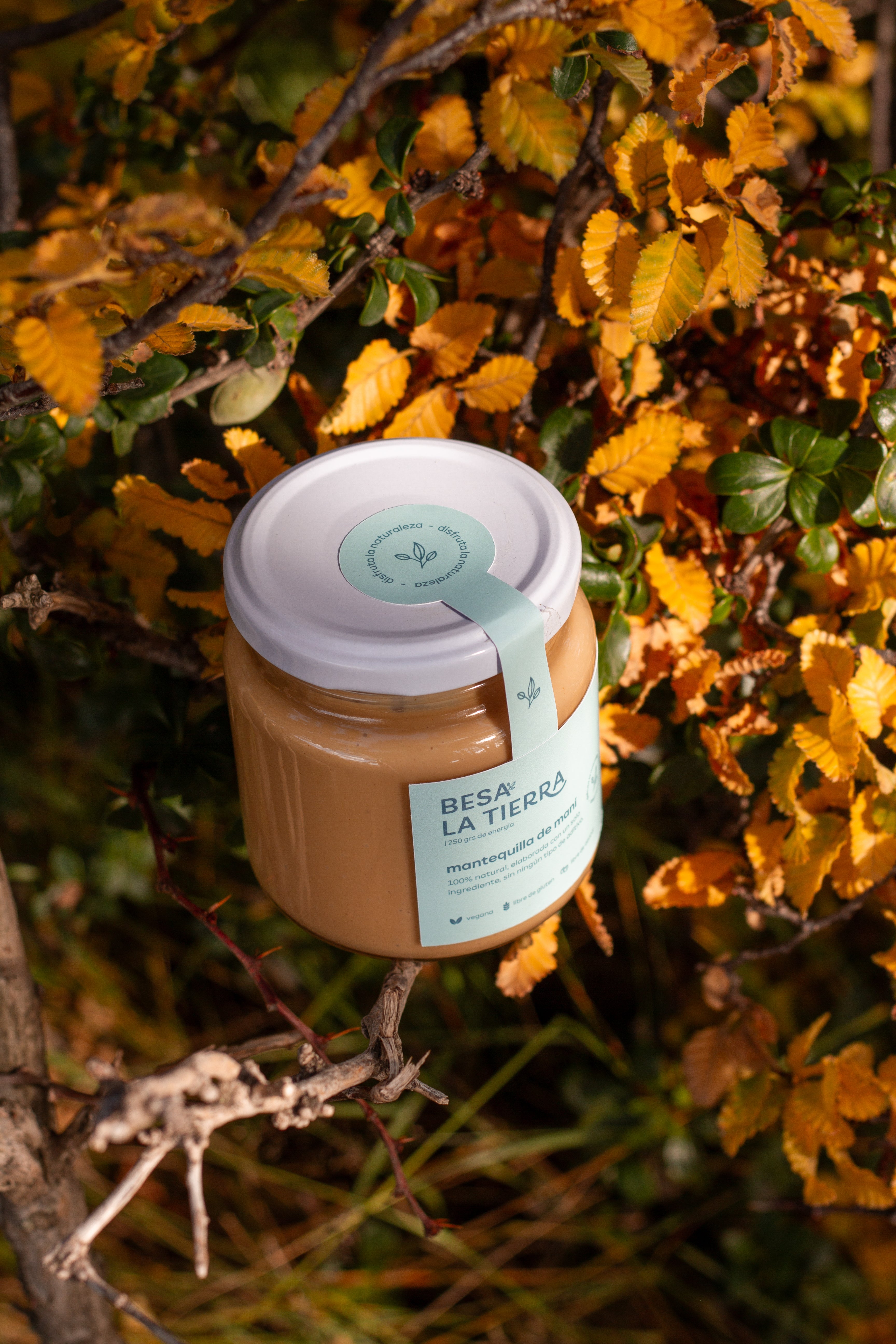 Mantequilla de Maní