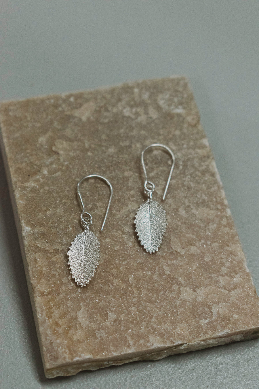 Aros Colección Nothofagus