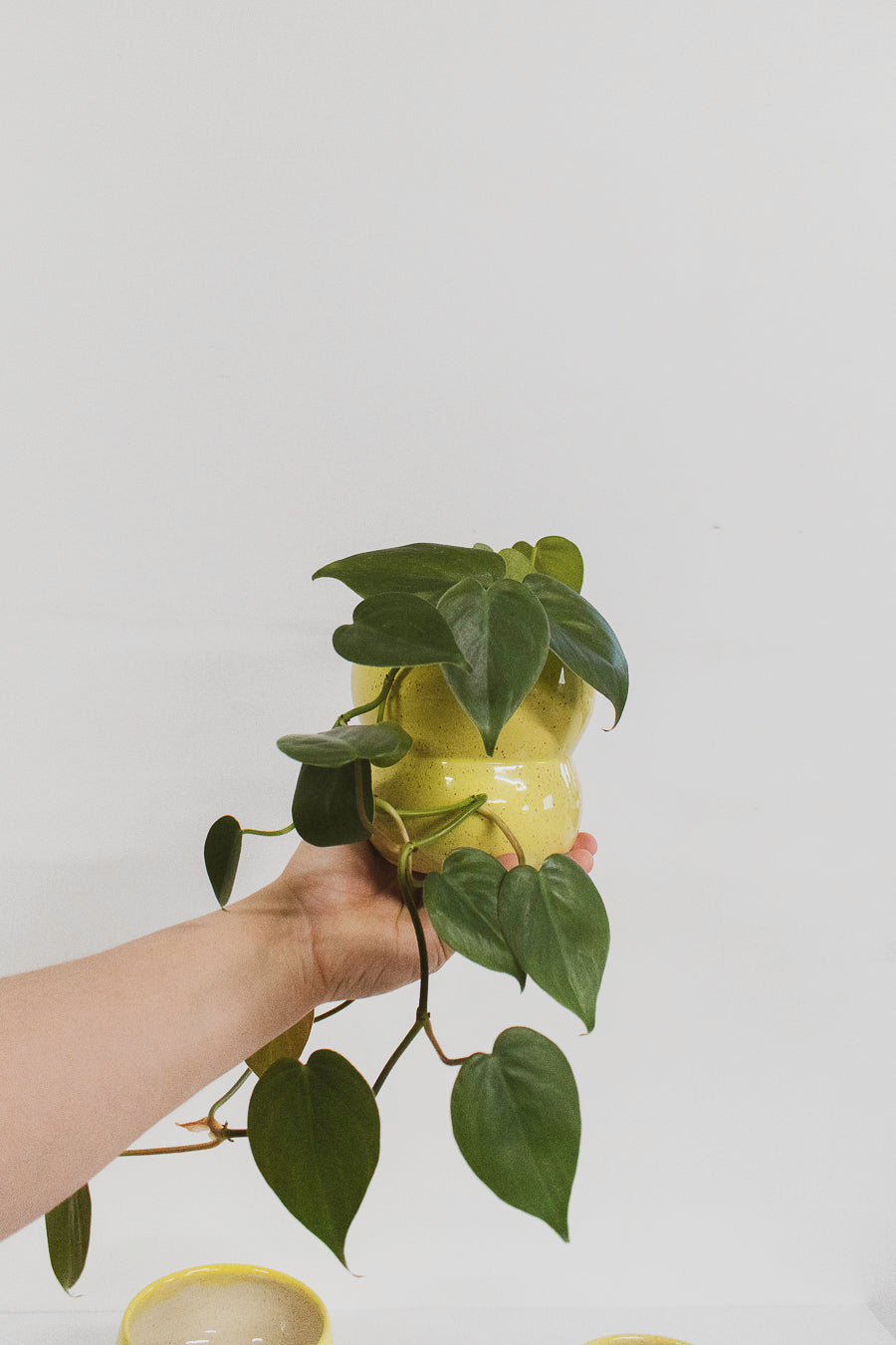 Macetero de Cerámica Amarillo