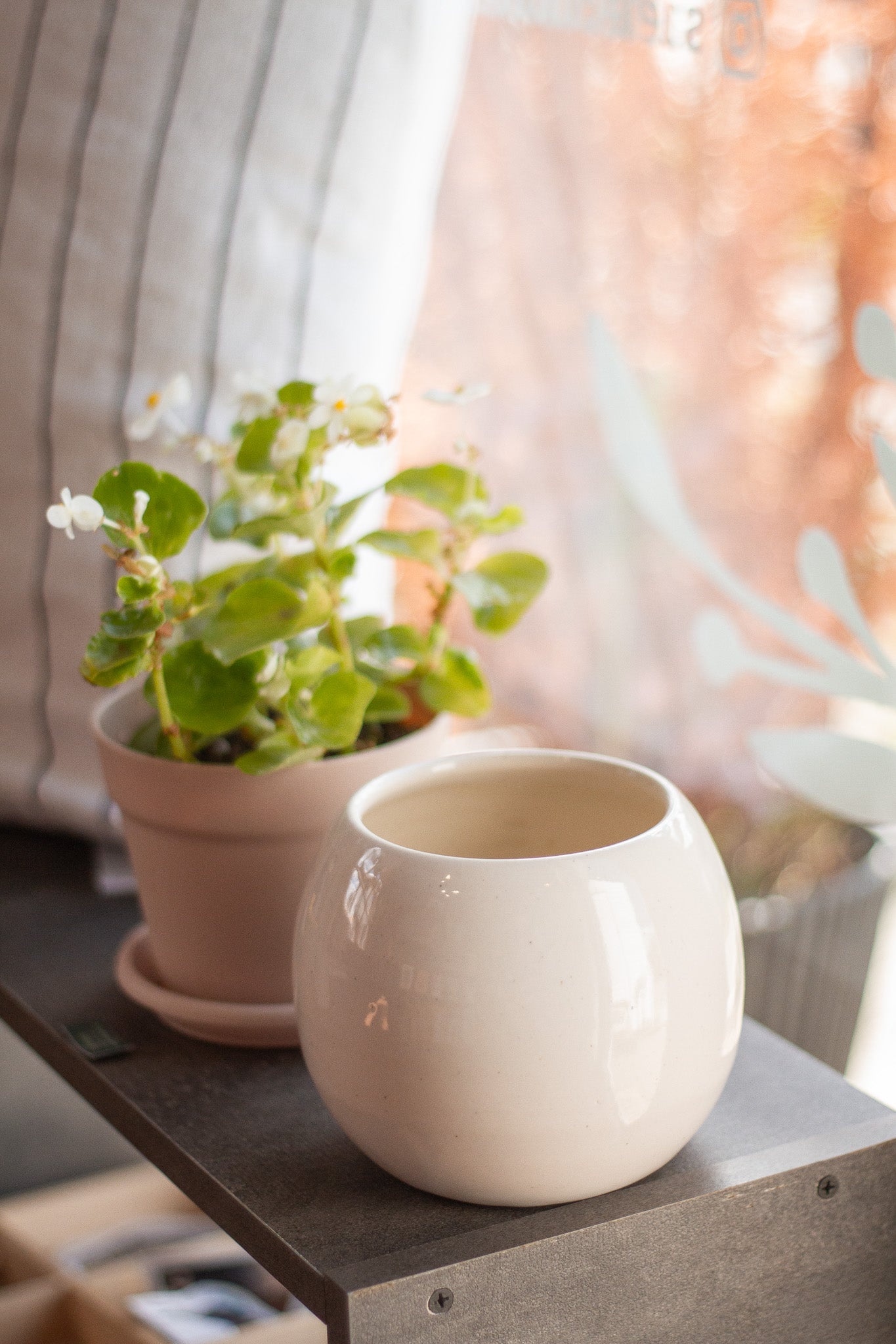 Macetero de Cerámica Blanco