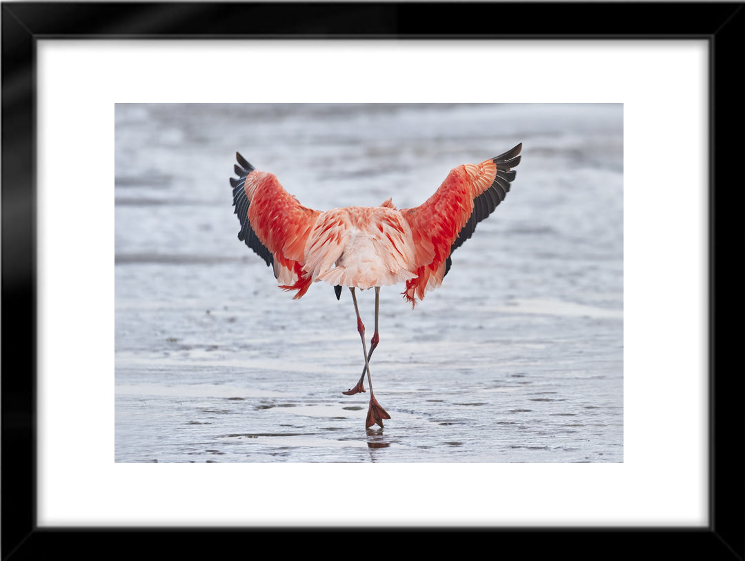 Fotografías de Autor • FineArt 40 x 30 cm