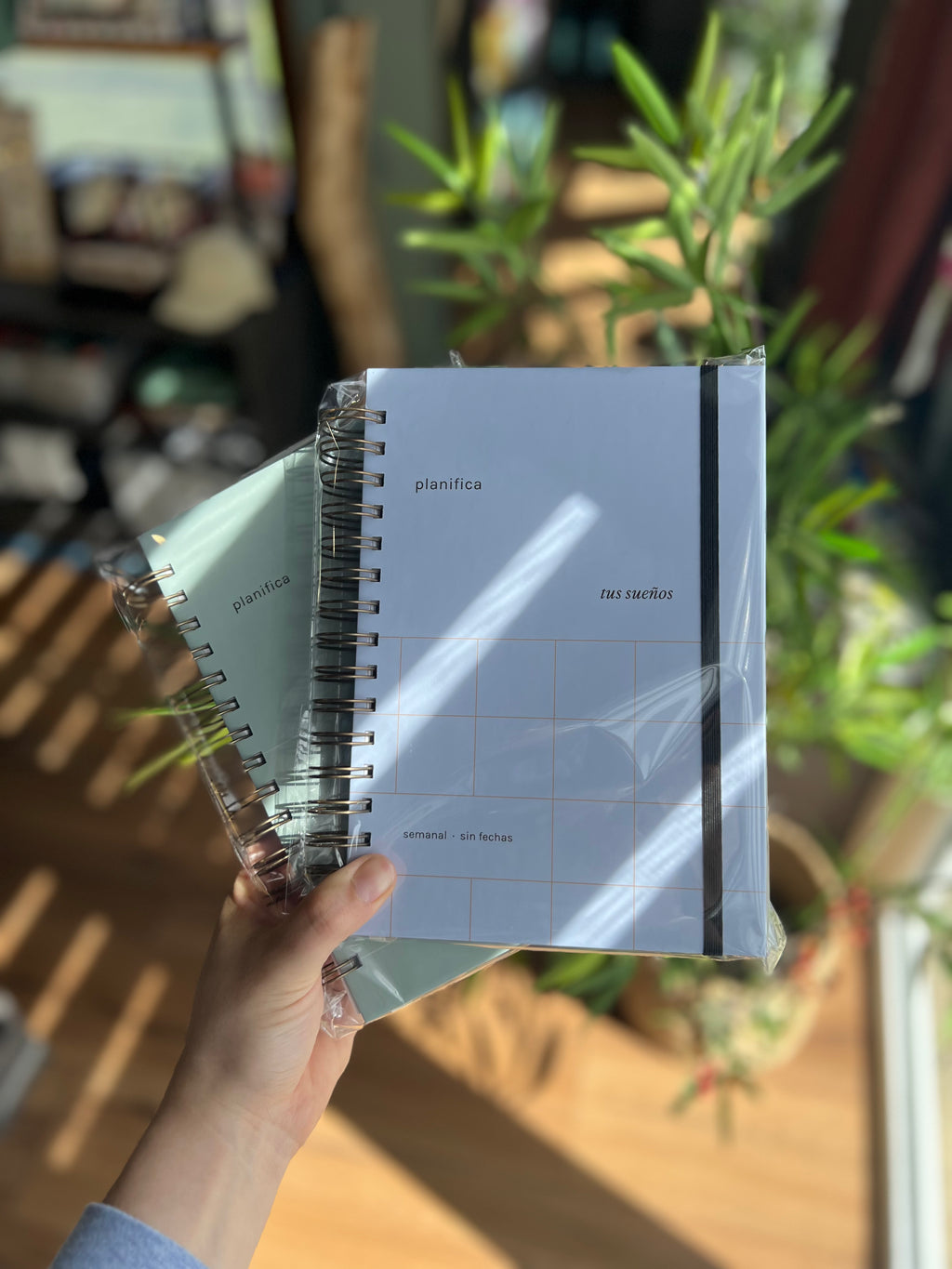 Planner Semanal "Planifica tus Sueños"
