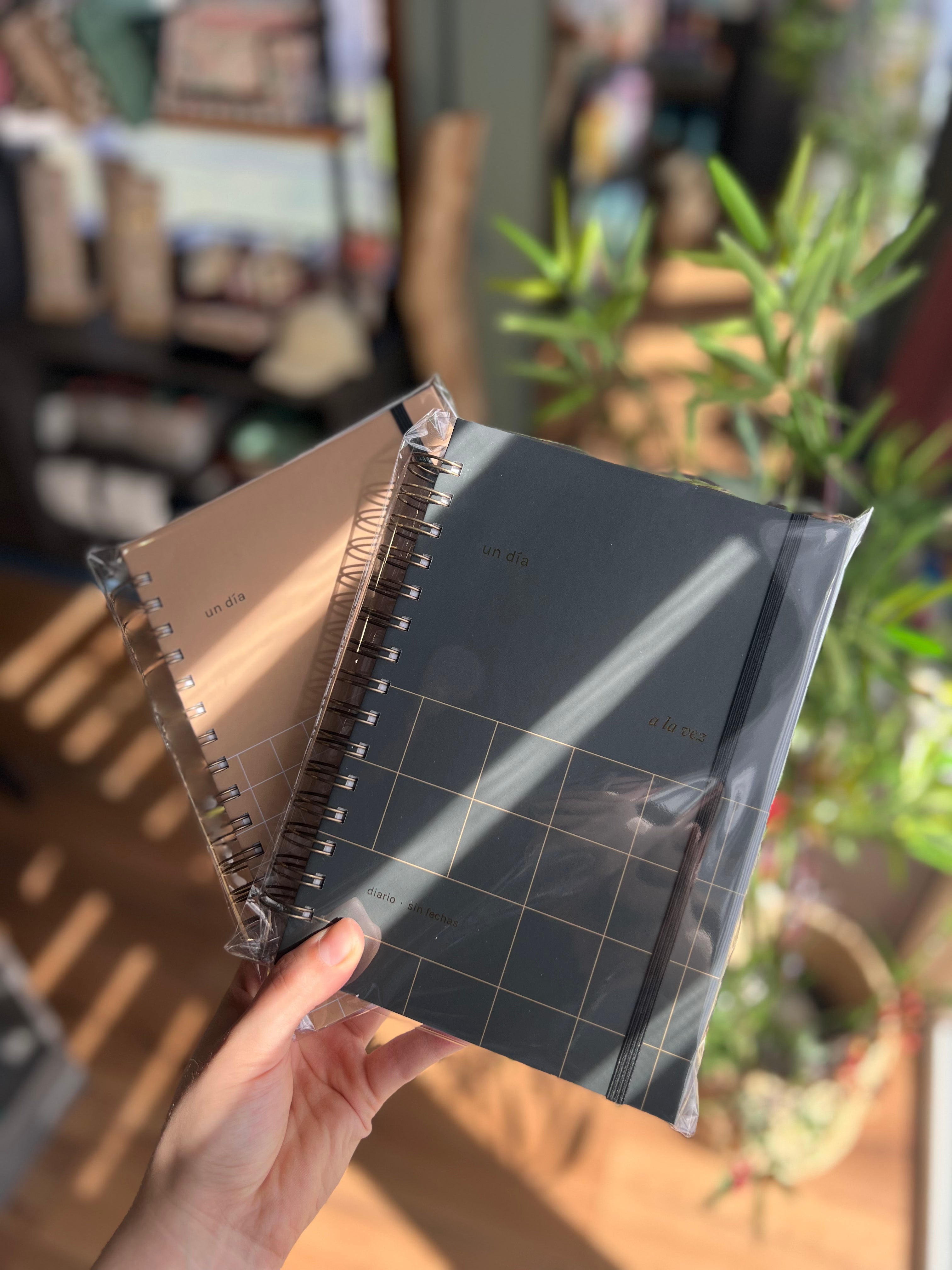 Planner Diario "Un día a la vez"