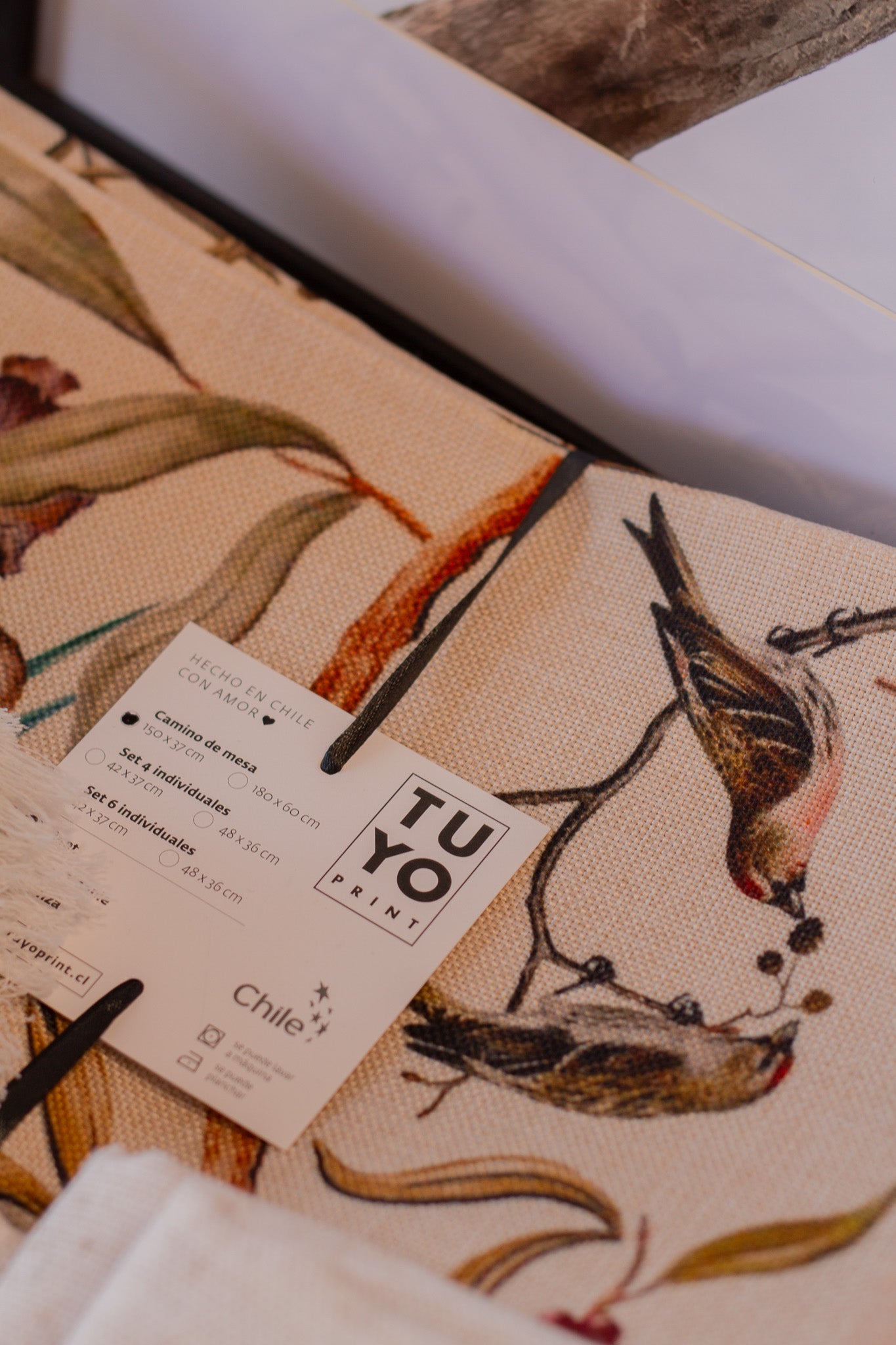 Camino de Mesa Panguipulli