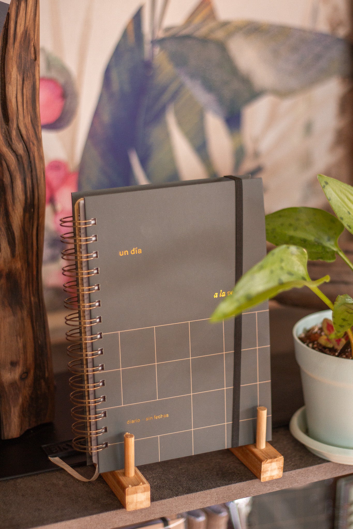 Planner Diario "Un día a la vez"