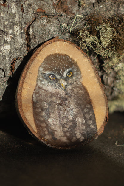 Rodajas de Madera Ilustradas