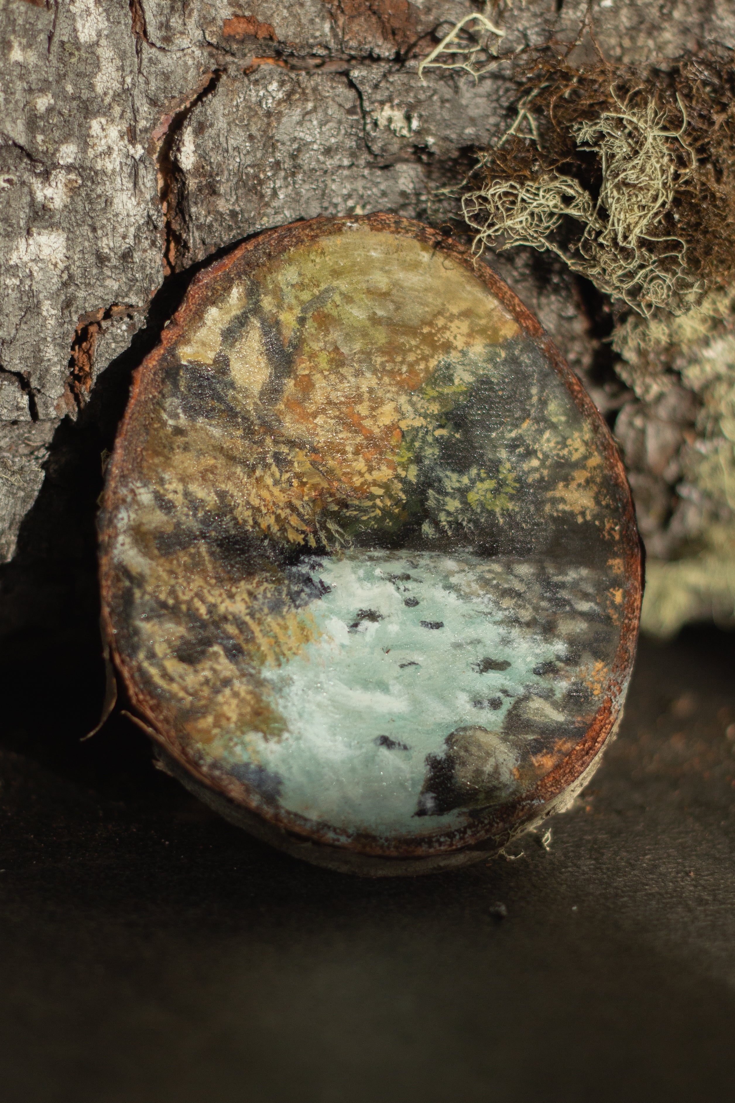 Rodajas de Madera Ilustradas