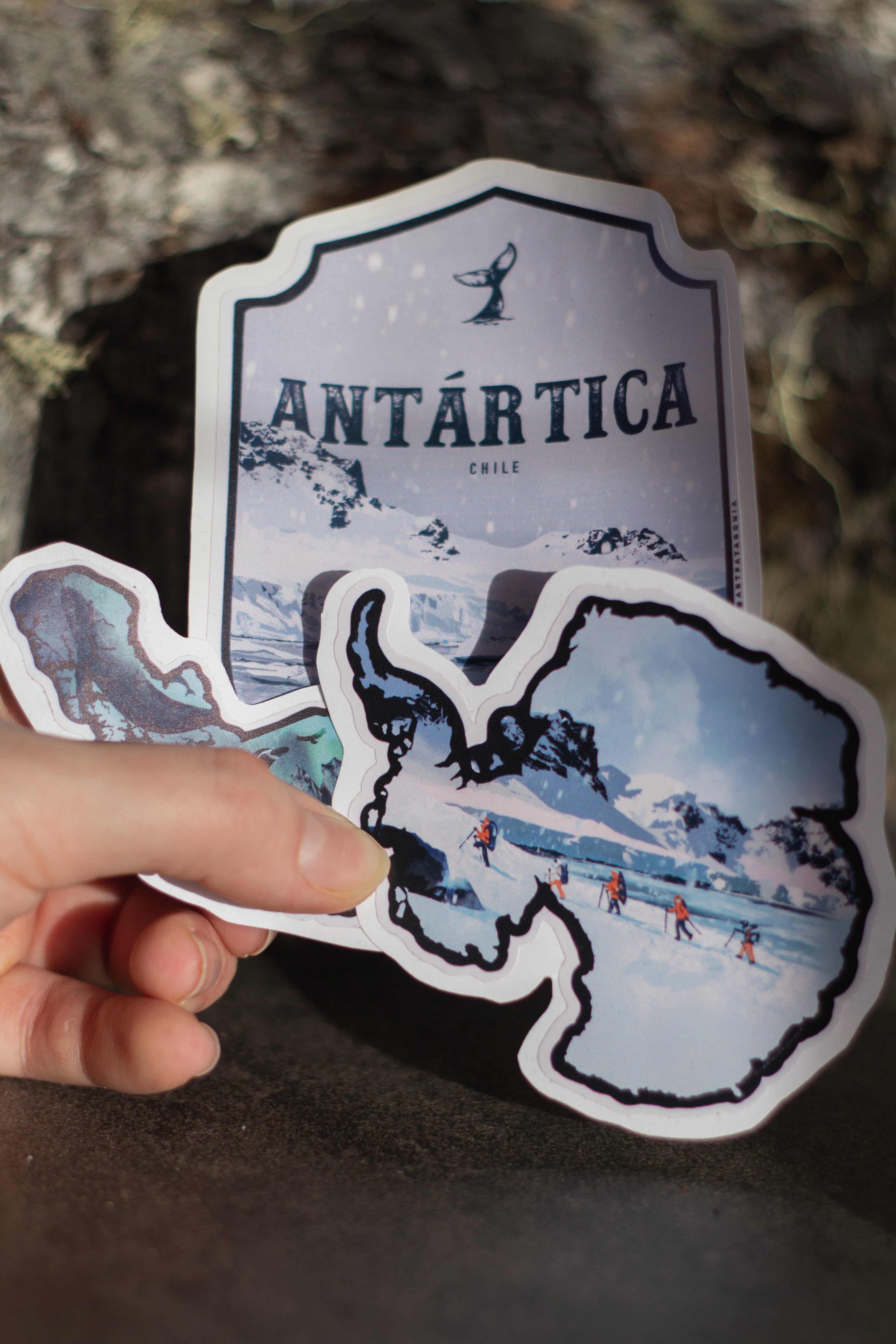 Pack Stickers Patagonia