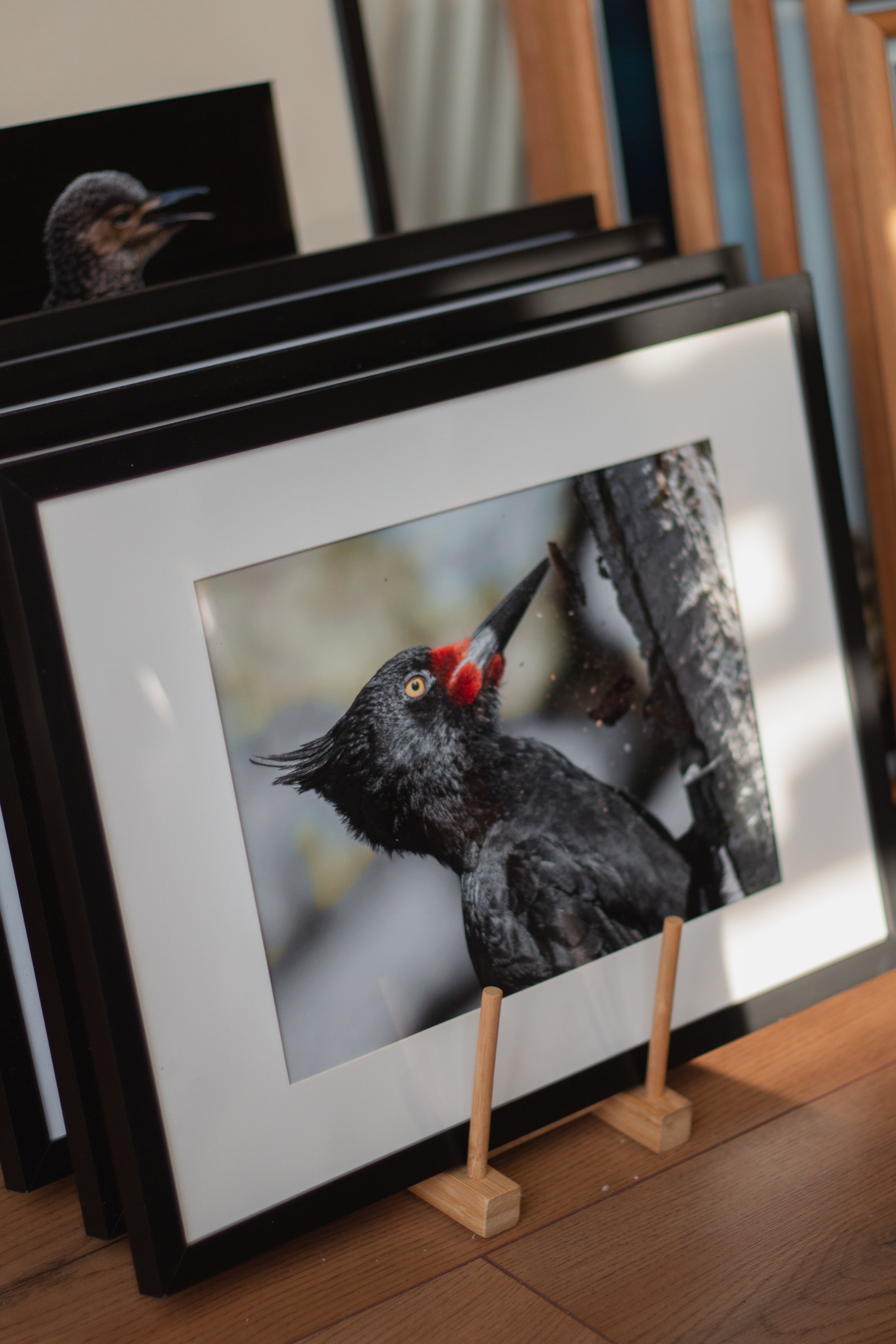 Fotografías de Autor • FineArt 40 x 30 cm