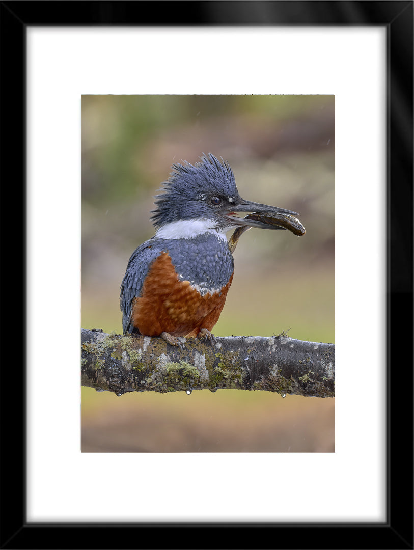 Fotografías de Autor • FineArt 40 x 30 cm