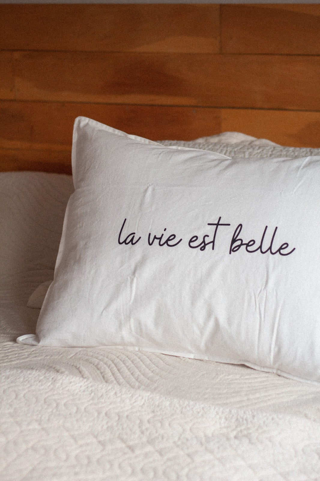 Fundas Almohada Algodón Frases