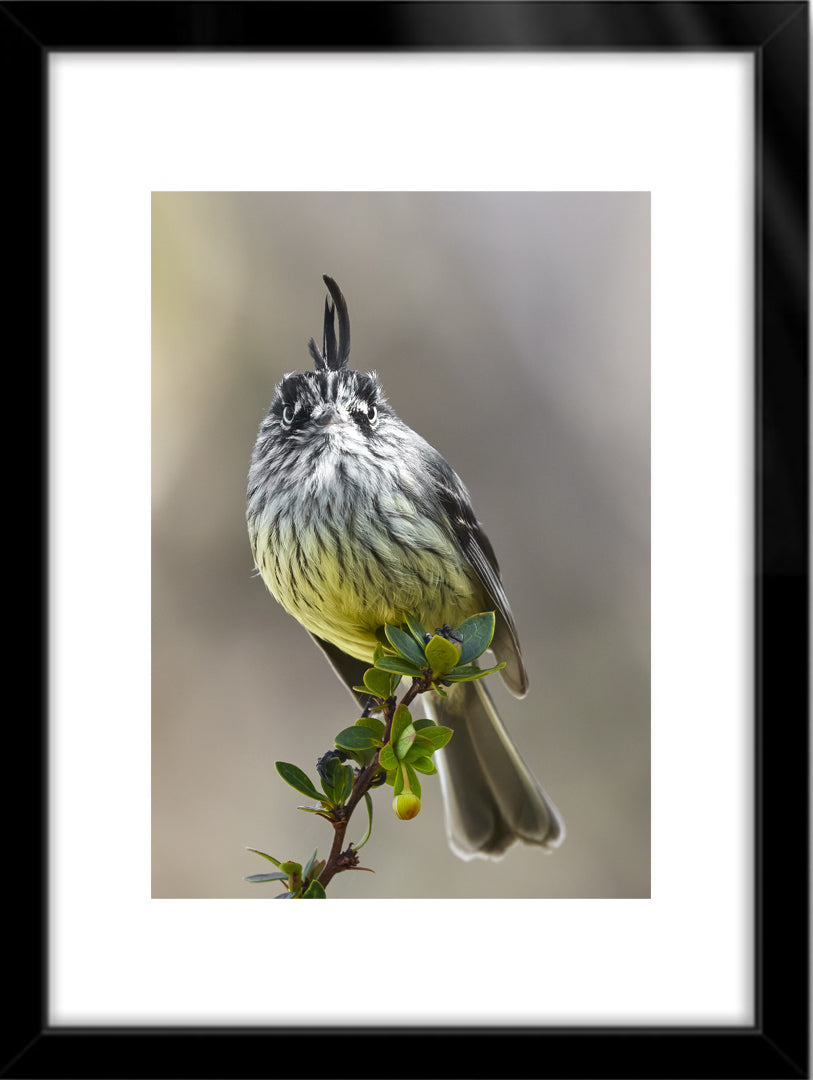 Fotografías de Autor • FineArt 40 x 30 cm