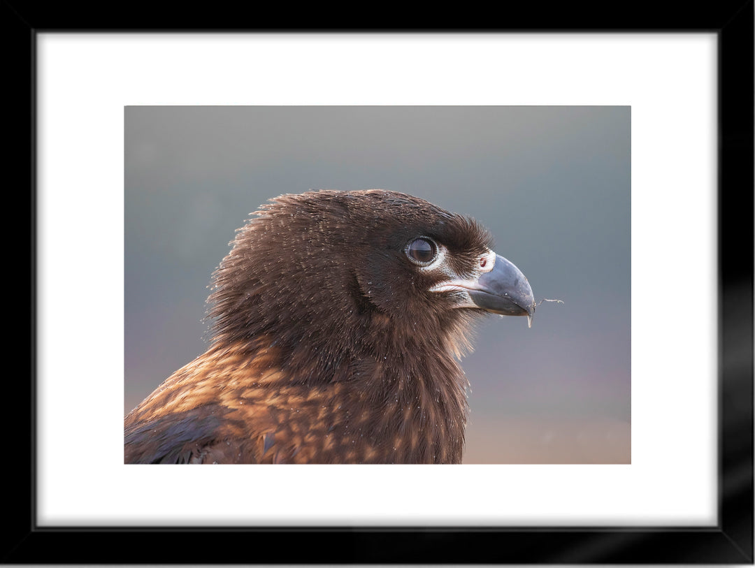 Fotografías de Autor • FineArt 40 x 30 cm