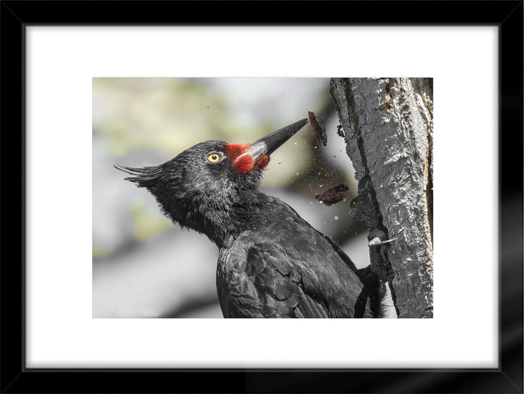 Fotografías de Autor • FineArt 40 x 30 cm