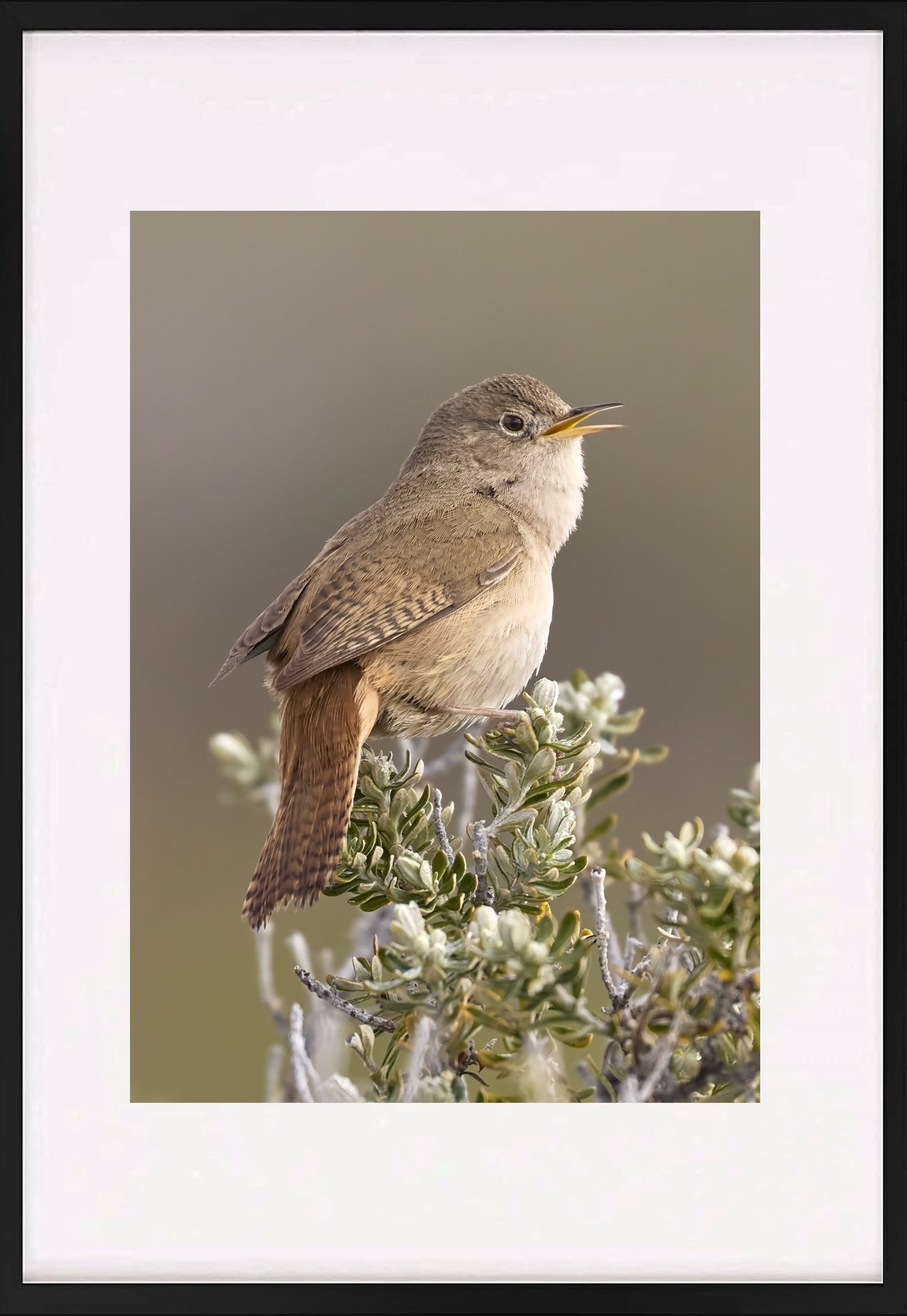 Fotografías de Autor • FineArt 40 x 30 cm