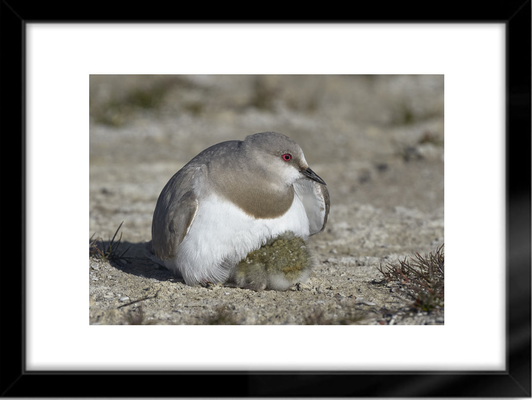 Fotografías de Autor • FineArt 40 x 30 cm