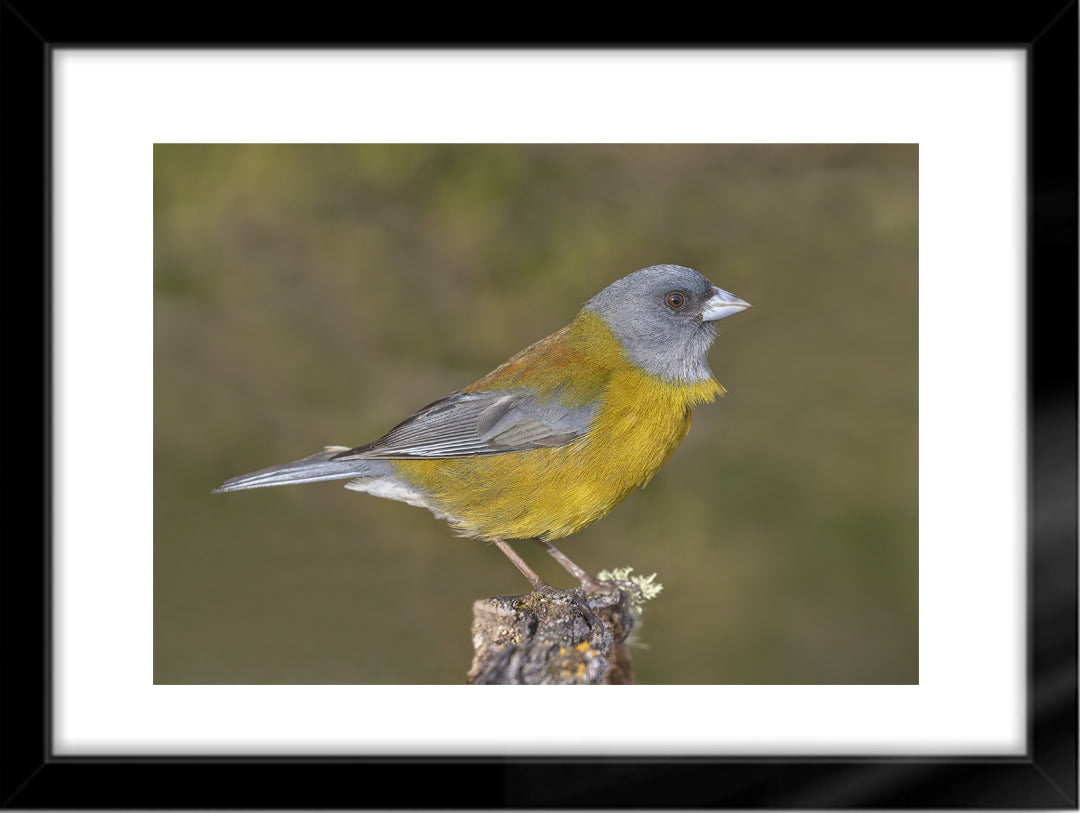 Fotografías de Autor • FineArt 40 x 30 cm