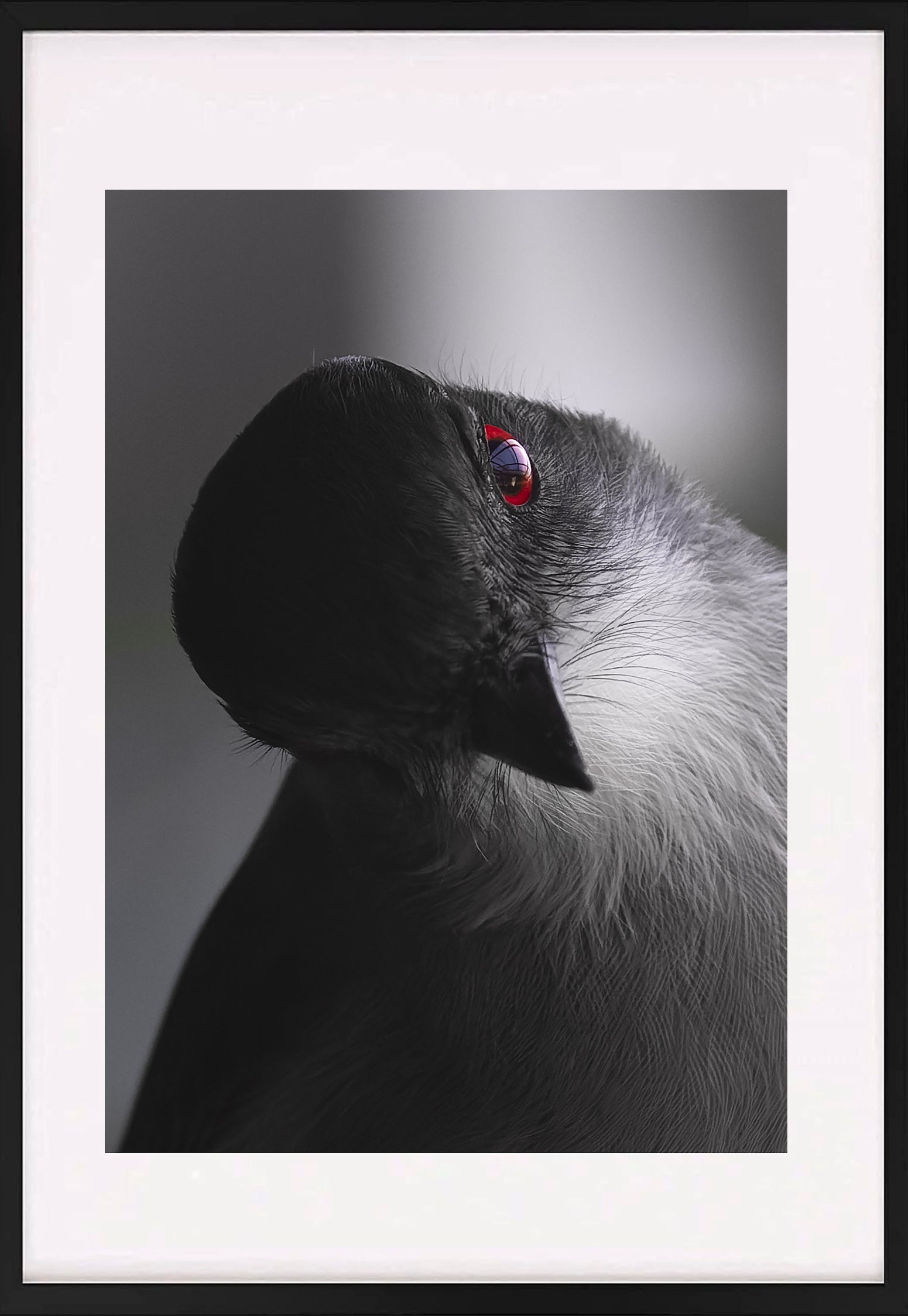 Fotografías de Autor • FineArt 40 x 30 cm