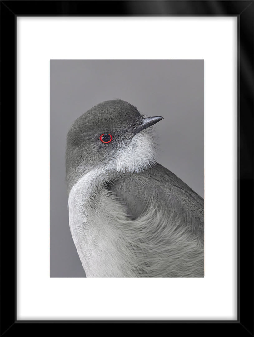 Fotografías de Autor • FineArt 40 x 30 cm