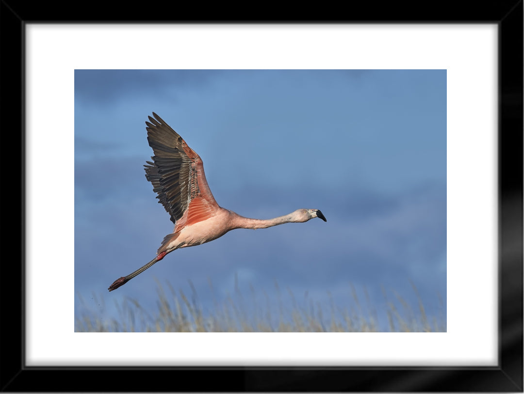 Fotografías de Autor • FineArt 40 x 30 cm