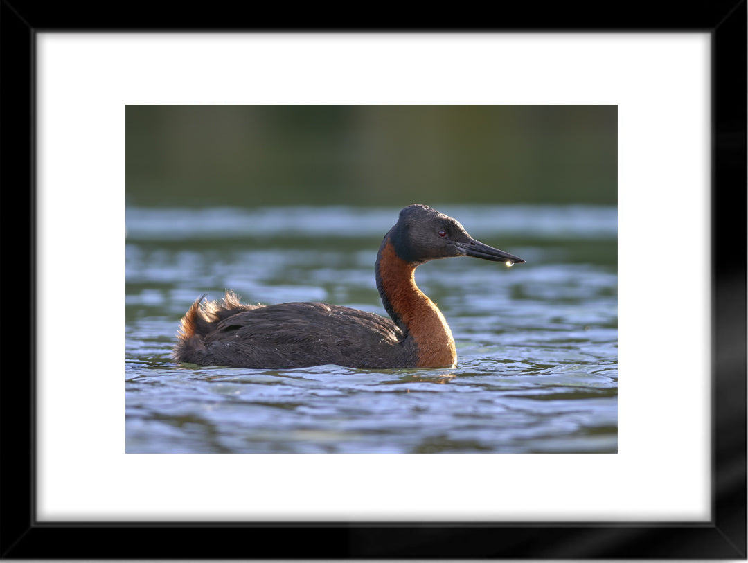 Fotografías de Autor • FineArt 40 x 30 cm