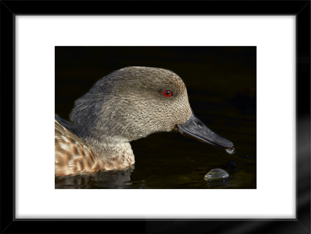 Fotografías de Autor • FineArt 40 x 30 cm