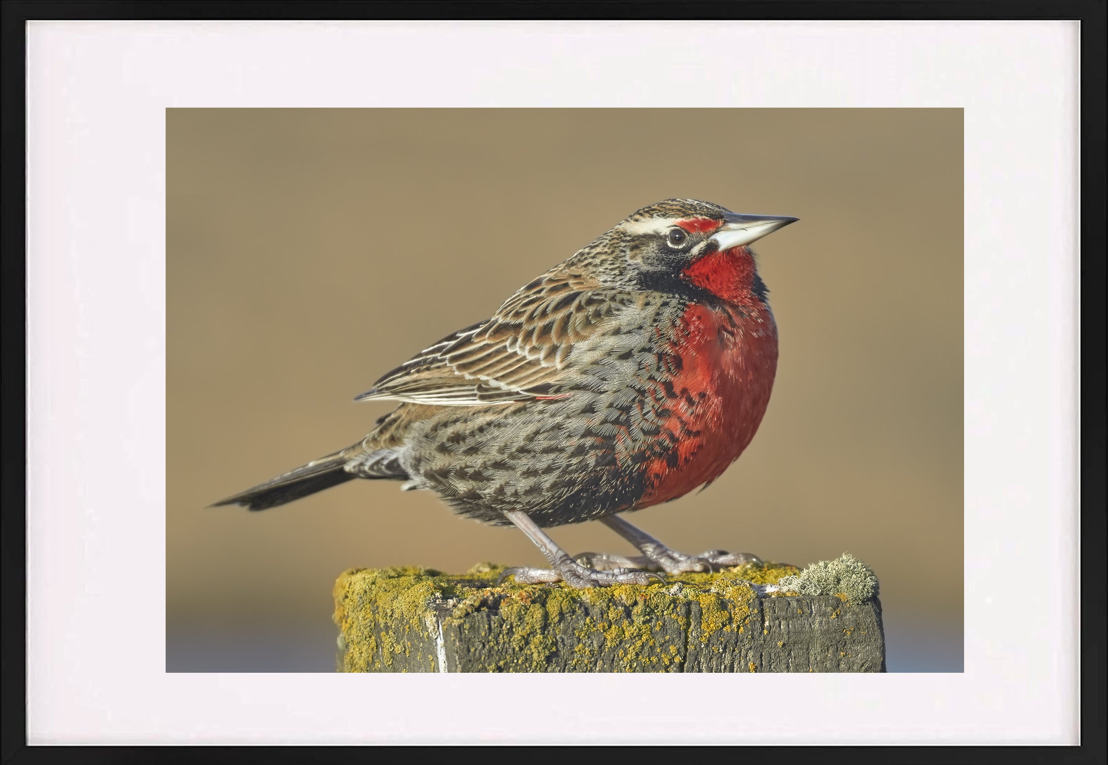 Fotografías de Autor • FineArt 40 x 30 cm