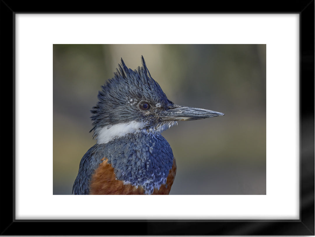 Fotografías de Autor • FineArt 40 x 30 cm