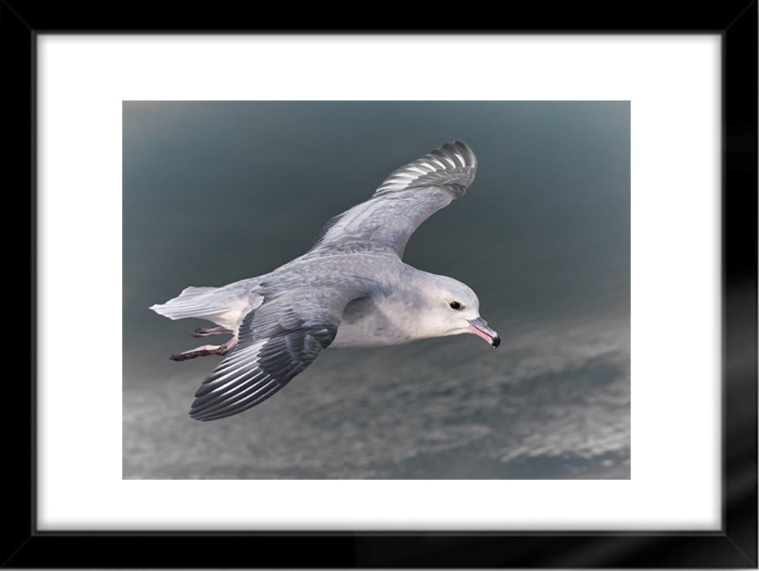 Fotografías de Autor • FineArt 40 x 30 cm