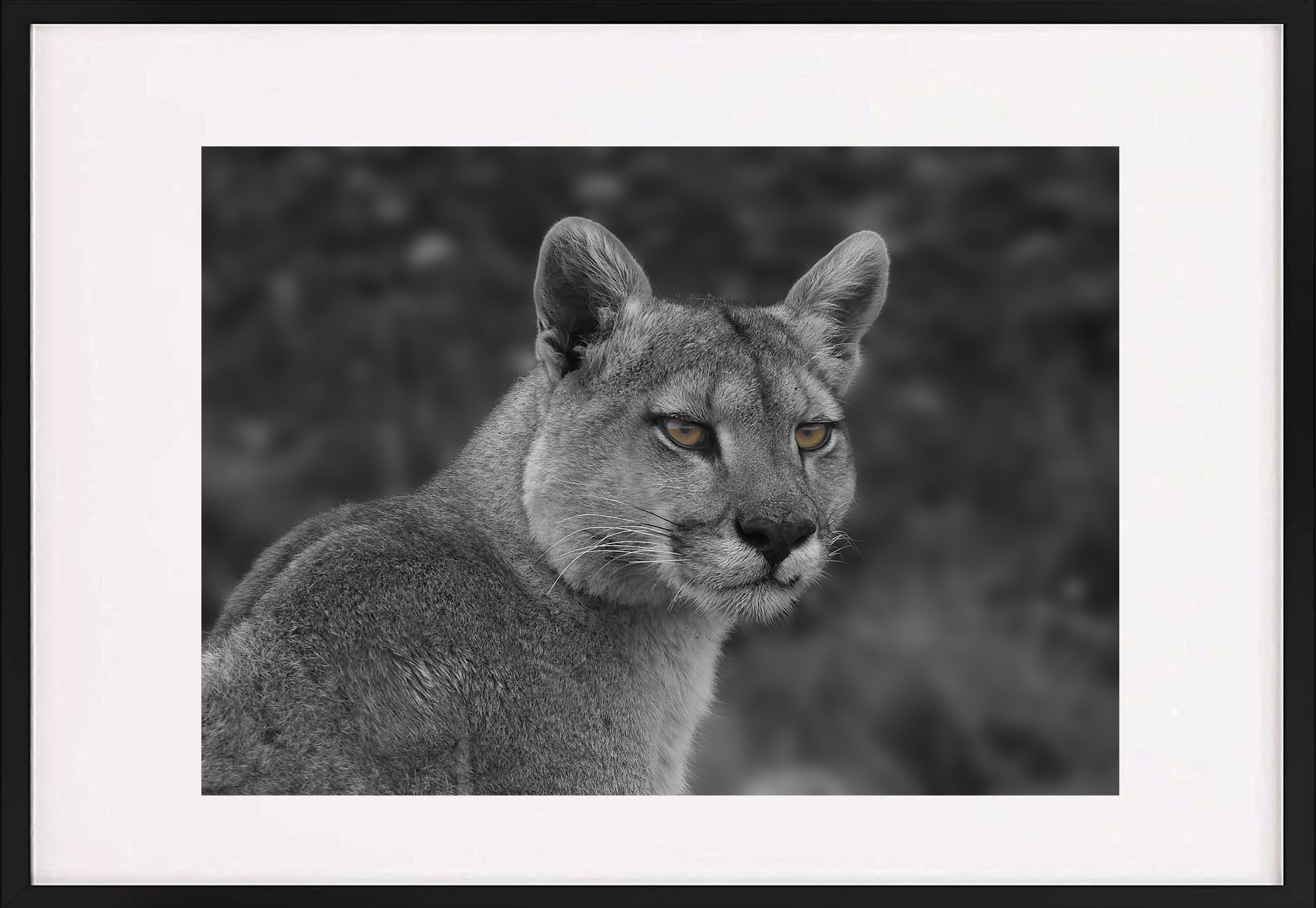 Fotografías de Autor • FineArt 40 x 30 cm