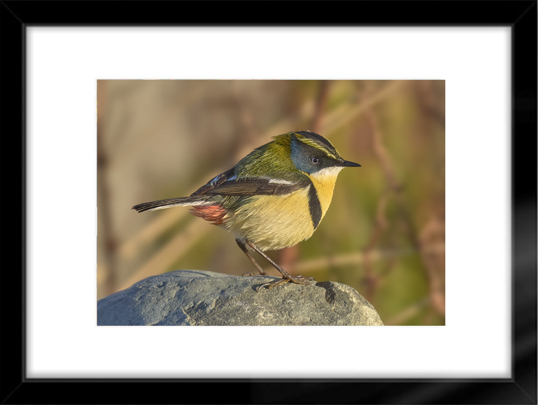 Fotografías de Autor • FineArt 40 x 30 cm